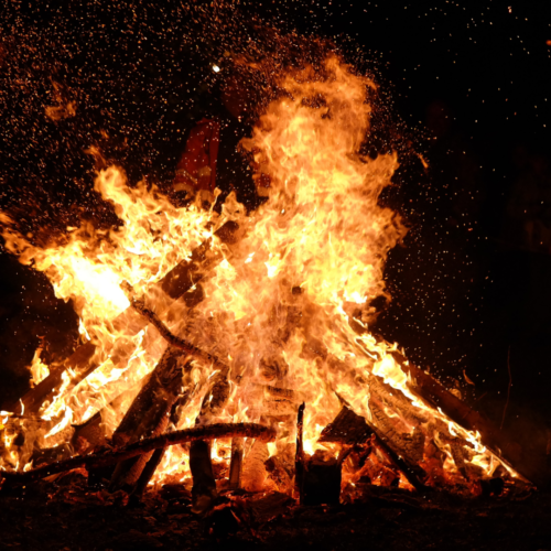 Imbolc/Brigid’s Day